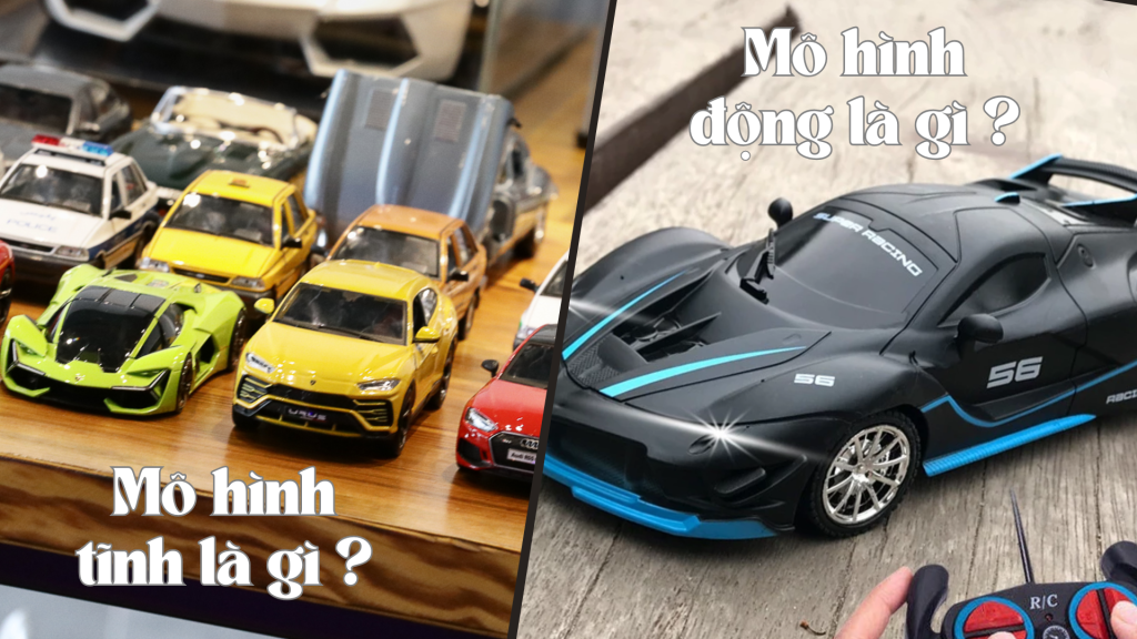 Mô Hình Tĩnh Là Gì? Mô Hình Động Là Gì? Hiểu Rõ Để Bắt Đầu Đúng